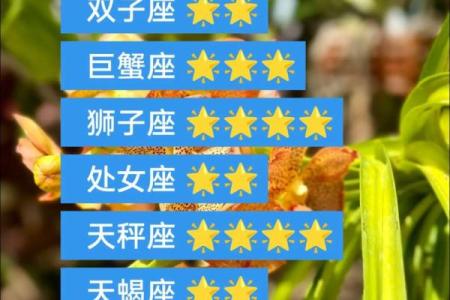 2025年3月29日今日白羊座星座运势