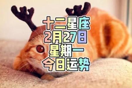 2025年3月25日巨蟹座今日运势第一星座网