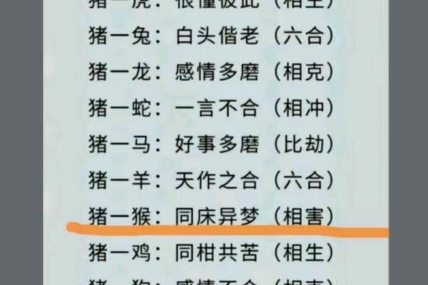 一龙一猪是什么生肖(一龙一猪是什么生肖,猜一个动物,权威解答)