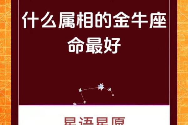 金牛座2023运势完整版事业财运爱情全年详解