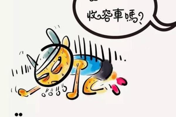 回光返照打一正确生肖(回光返照打一肖肖)