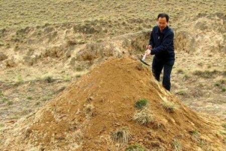 平时上坟可以动土吗