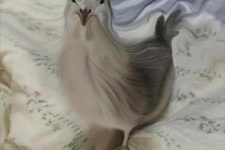 头破血流是什么生肖(头破血流是什么生肖)