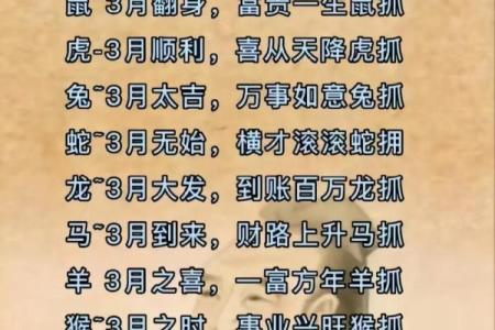 四通八达打一个生肖