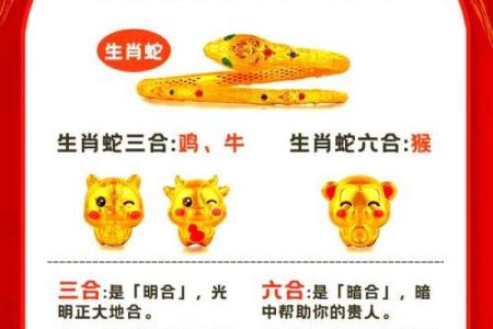 一言九鼎指什么生肖(一言九鼎指什么生肖最佳)