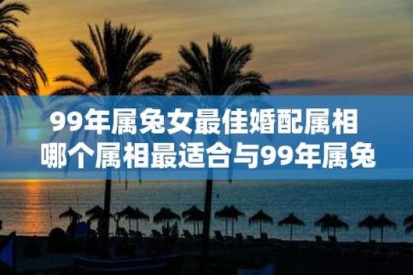 属兔的今年结婚吉日(属兔今年结婚几月份好)