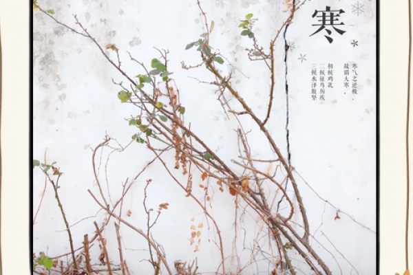 大寒动土 大寒动土