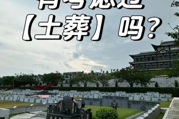 2025年能动土下葬吗 2025年能动土下葬吗