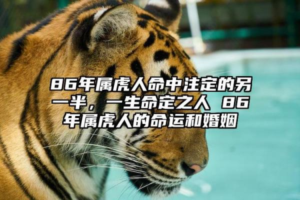 86年属虎人开业吉日 86年属虎人开业吉日