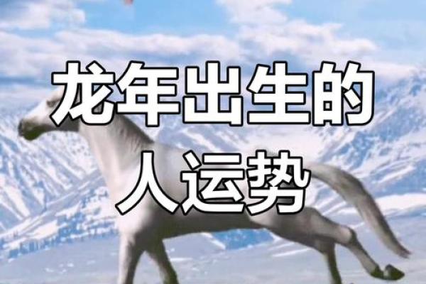 1988年属龙者命运解析戊辰年大林木命全揭秘 1988年属龙者命运解析戊辰年大林木命全揭秘