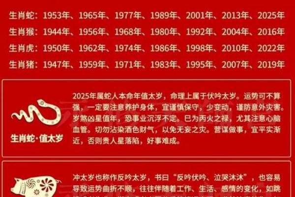 属蛇人2025年蛇年全年运势 属蛇人2025本命年运势全解析逐月运程大揭秘 属蛇人2025年蛇年全年运势 属蛇人2025本命年运势全解析逐月运程大揭秘