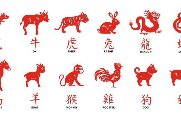 龙骧虎步是什么生肖(龙骧虎步是什么生肖百度知道) 龙骧虎步是什么生肖(龙骧虎步是什么生肖百度知道)