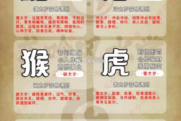 属蛇人2025年运势完整版 属蛇人2025乙巳年运势全年每月运程完整解析