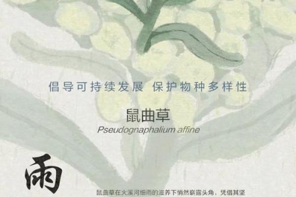 春风细雨是什么生肖(春风细雨整首诗怎么写) 春风细雨是什么生肖(春风细雨整首诗怎么写)