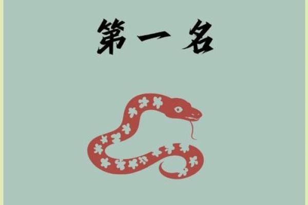 2025年属蛇人的全年运势如何_属蛇2025年的运势及运程每月运气