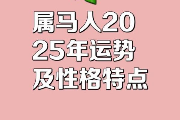2002属马男孩一生运势 2002属马男孩一生运势早上56点出生 2002属马男孩一生运势 2002属马男孩一生运势早上56点出生