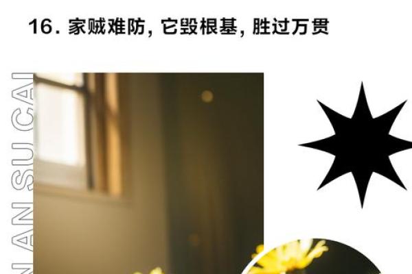 偷天换日好本领是什么生肖(偷天换日指的是什么生肖) 偷天换日好本领是什么生肖(偷天换日指的是什么生肖)