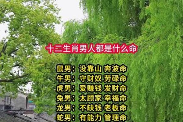 雄才盖世是什么生肖(雄才盖世是什么生肖劲物)