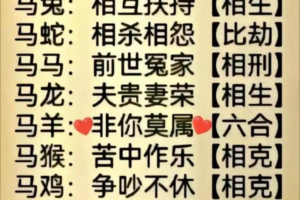 属马的几几年出生表_属马的那几年出生的