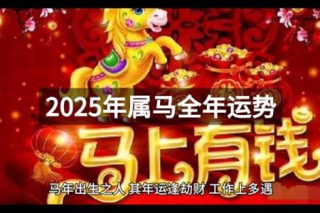 属马的人2025年_属马的人2025年的幸运色