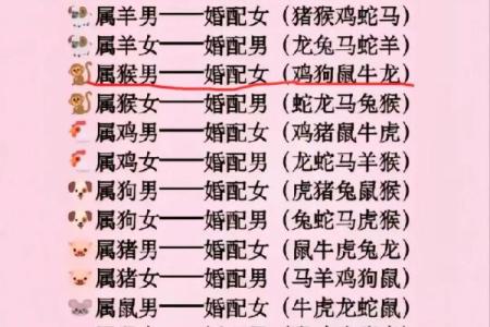 属马的蛇年运势2025年运程 78的马2025运气如何