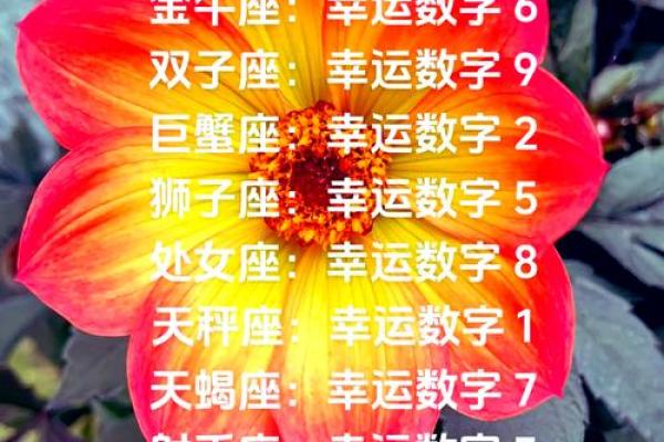 金牛星座今日运势查询 金牛座今日运势查询财运爱情事业全解析