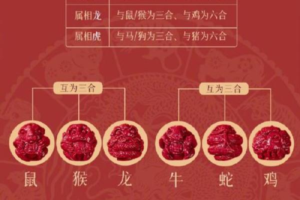 属龙2025多少岁_2025年属龙人年龄对照表农历乙巳年112月出生岁数详解