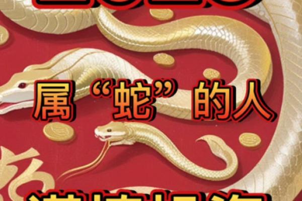 2025年属蛇运势_2025年属蛇运势完整版
