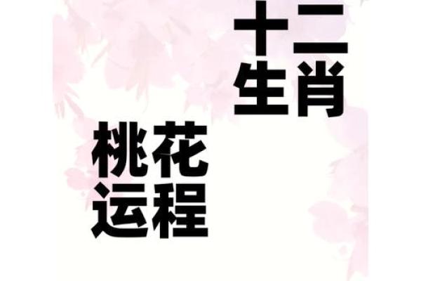 属马人在2025年运势 2025年属马人运势全解析吉凶预测与转运指南 属马人在2025年运势 2025年属马人运势全解析吉凶预测与转运指南
