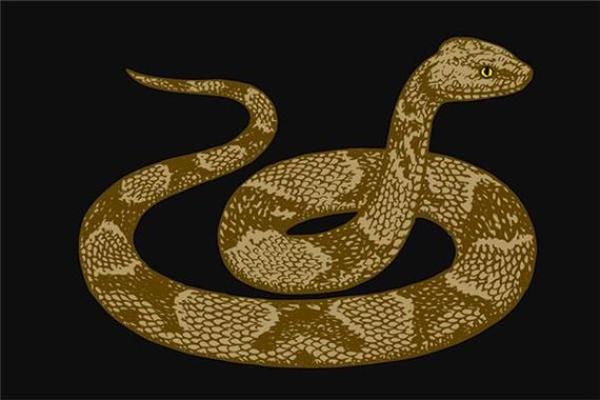 2025年属大龙的全年运势 2025年属大龙的全年运势佛滔网