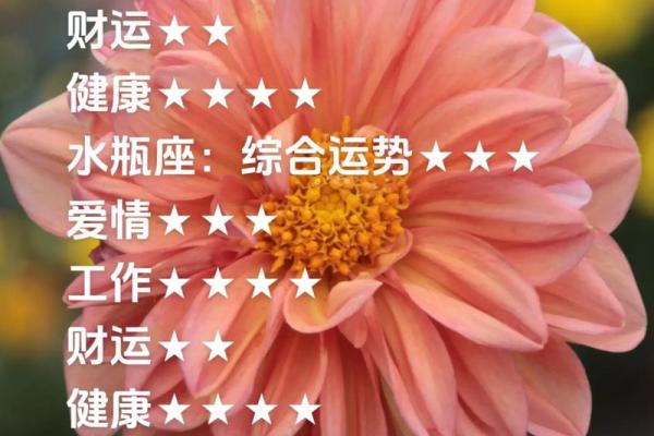 2025年3月30日魔羯今日运势座 2025年3月30日魔羯今日运势座