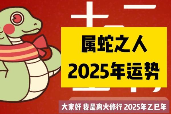 2025年属蛇逐月运程全解析全年12个月运势完整指南