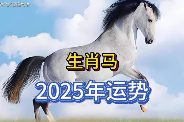 属马运势2025年运势详解_属马运势2025年运势详解图 属马运势2025年运势详解_属马运势2025年运势详解图