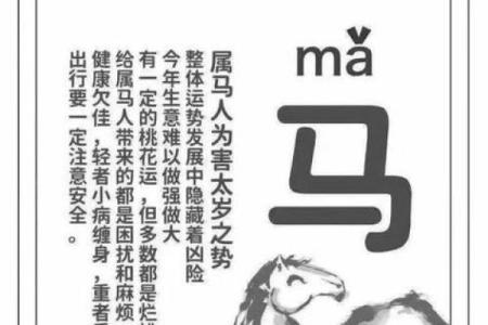 属马人全年运势_属马人全年运势如何