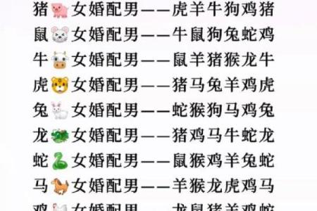 2002年属马的最佳婚配表_属马最忌三个属相