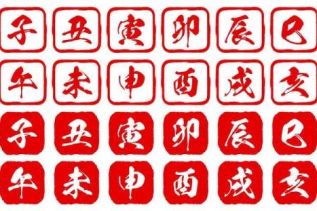 2012年属龙男孩一生学业如何_属龙人上初中成绩如何