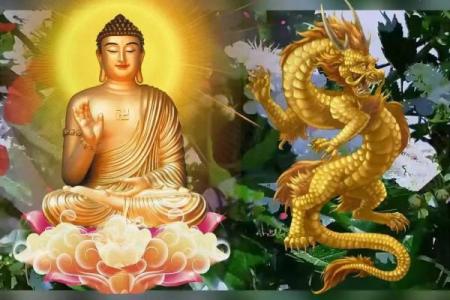 1976年属龙的五行属什么_1976年属龙的五行属什么命