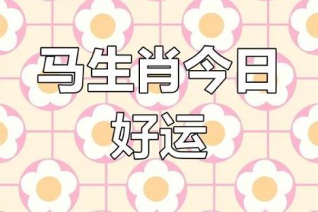 1966年属马人的运势_1966年属马人2023年运势解析财运事业健康全指南