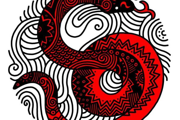 2025年属蛇的人能穿红色吗 2025属蛇最佳颜色 2025年属蛇的人能穿红色吗 2025属蛇最佳颜色