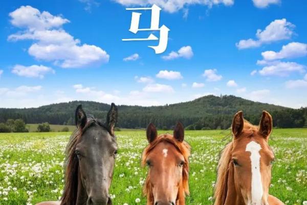 78年属马女47岁2025劫难_78年属马女47岁2025劫难预警如何化解运势危机