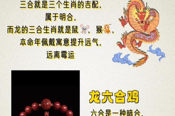 1988年属龙今年多大 1988年属龙今年多大2024 1988年属龙今年多大 1988年属龙今年多大2024