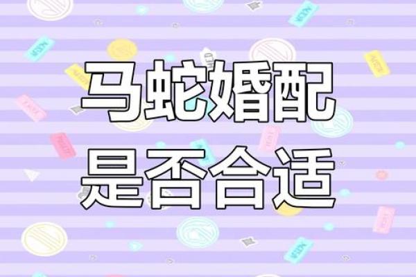 2001年属马的最佳婚配_属马最佳婚配