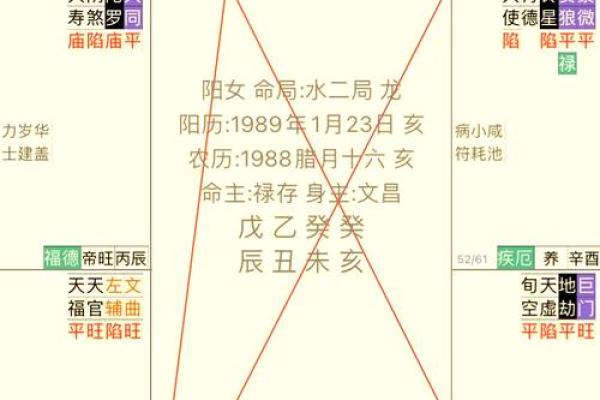 财帛宫巨门旺财富运势解析与提升策略