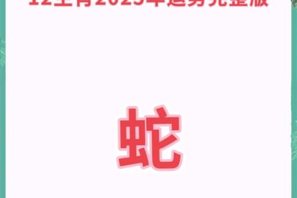 2025年属蛇人全年运势详解每月运程精准预测 2025年属蛇人全年运势详解每月运程精准预测