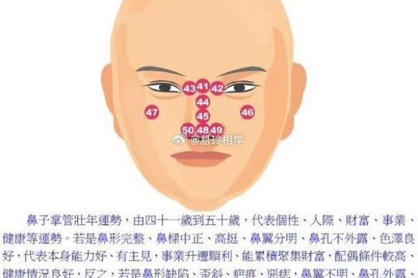 父母宫化禄入财帛宫财富与家庭运势的深度解析 父母宫化禄入财帛宫财富与家庭运势的深度解析