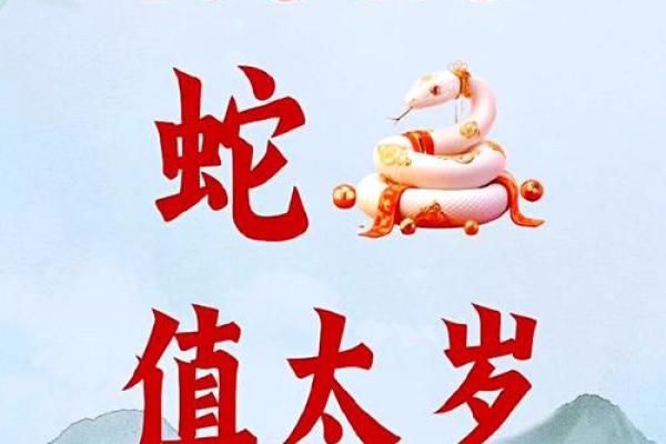 属蛇的今年多大啦2025年 2025年属马多大岁数了