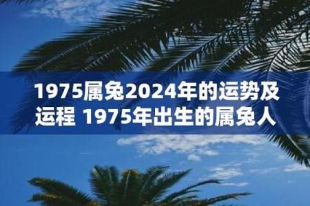 1975年属兔2025年运势详解运程预测与注意事项
