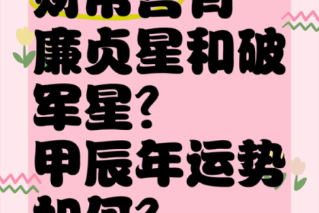 财帛宫巨门旺财富运势解析与提升策略