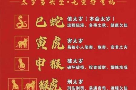 2025年属马犯太岁吗_龙年犯太岁的五个属相