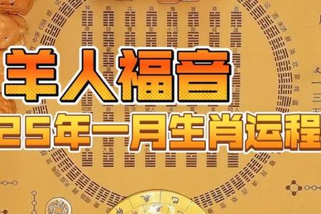 属羊人2025年运势详解每月运势全解析